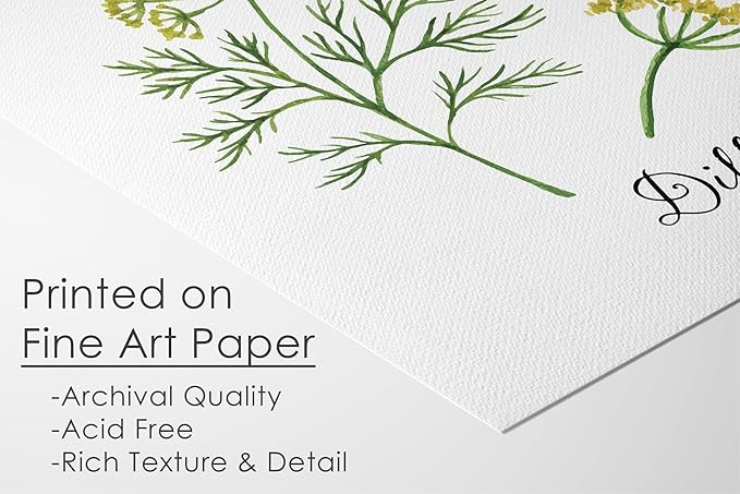 Botanical Prints Kitchen Herbs Wall Art - (Set of 6) - Unframed - 8x10s