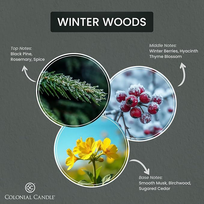 Colonial Candle Winter Woods Scented Candle Jar, Highly Fragranced Candles for Home Scented, Mottled Wax Candle, 2 Wick, 8 oz - Made in The USA