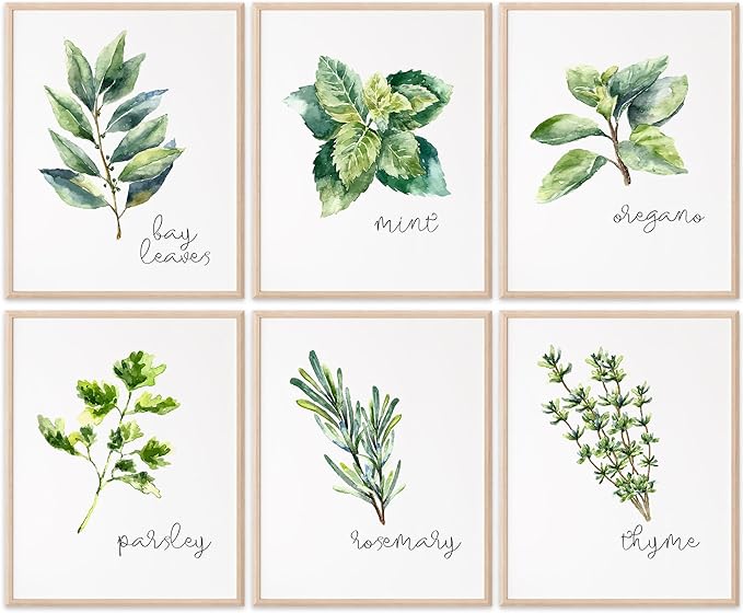 Kitchen Herbs Art Prints - Botanical Prints - (Set of 6) - Unframed - 8x10s | Dining Room Decor - Gifts for Chef or Cook - Restaurant Decor - Rosemary, Thyme, Mint, Parsley, Oregano, and Bay Leaves