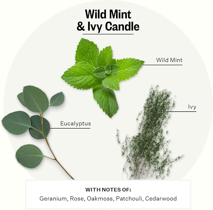 Apotheke 3-Wick Scented Candles for Home, Wild Mint & Ivy - 26 oz Soy Wax Jar Candle Gift for Women - Long-Lasting Fragrance with Perfume-Grade Essential Oils - Eucalyptus, Patchouli, Cedarwood & Rose