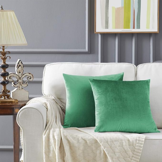 GIGIZAZA Decorative Throw Pillow Covers 20 x 20,Mint Turquoise Sofa Pillow Covers Velvet,Set of 4 Decor Square Cushion Covers