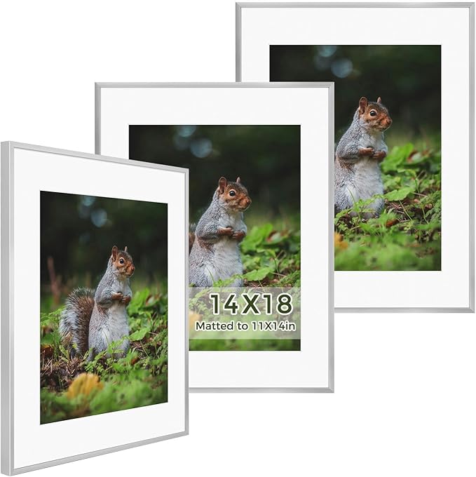 Golden State Art 14x18 Picture Frame 3 Pack - Aluminum Frames with 11x14 Removable Mats & Real Glass, Display 14x18 Posters or 11x14 Photos - Silver Gallery Wall Frames for Home Office Decor