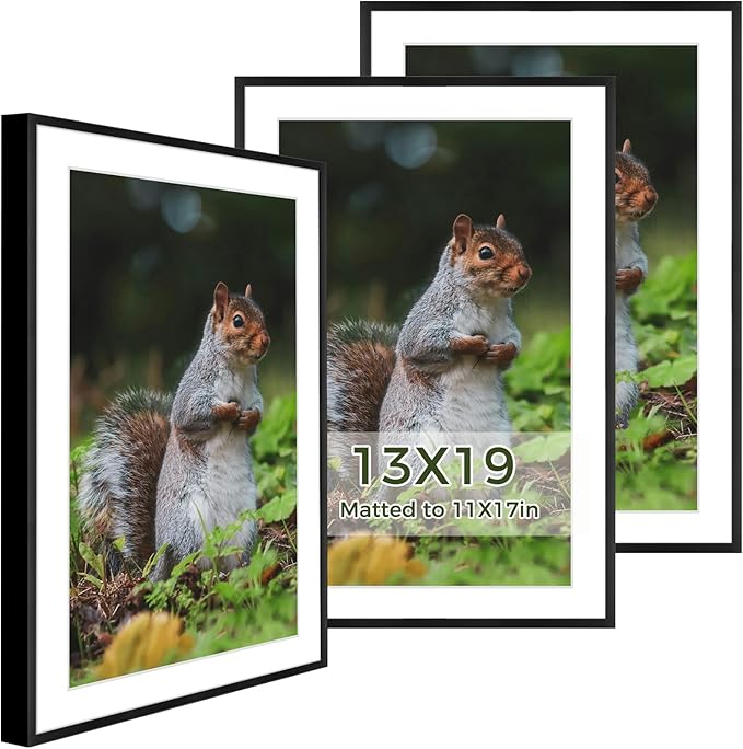Golden State Art 13x19 Picture Frame 3 Pack - Aluminum Frames with 11x17 Removable Mats & Real Glass, Display 13x19 Posters or 11x17 Photos - Black Gallery Wall Frames for Home Office Decor