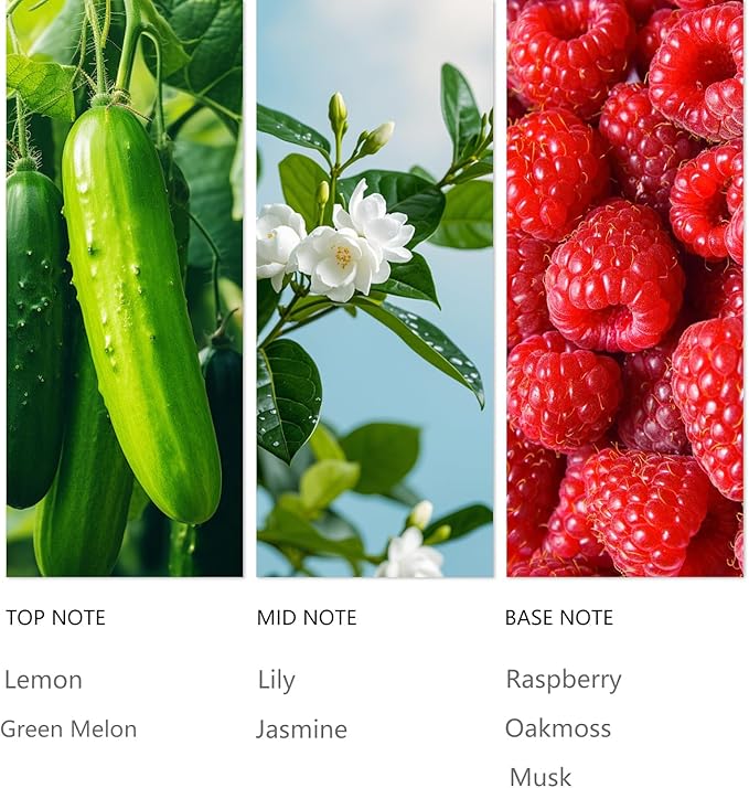 Hotel Waterless Diffuser Oil Mysterious, Essential Scent Oil Usage Cold Air Waterless Diffuser, Luxury Scents Oils Fragrance Bottle120 ML Home Natural Flavour