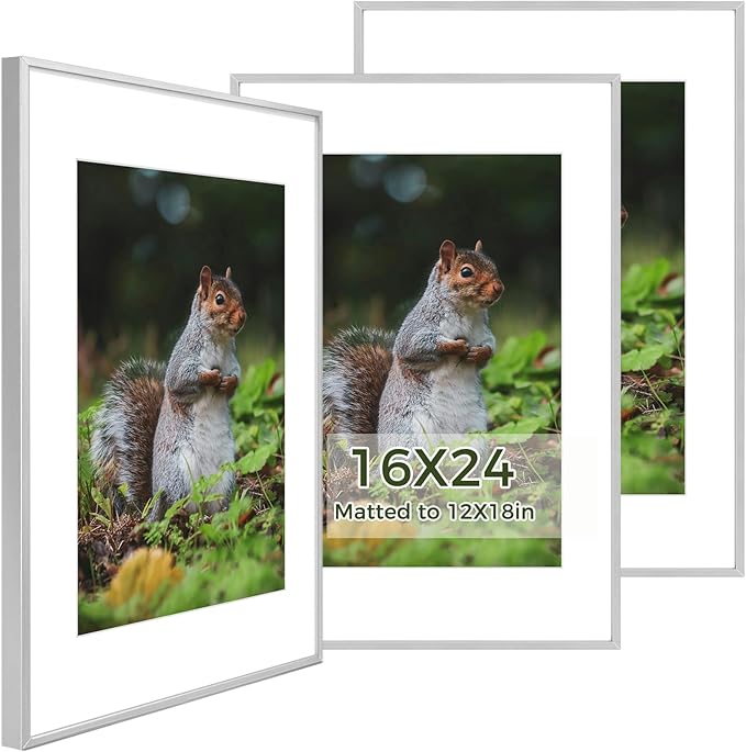 Golden State Art 16x24 Picture Frame 3 Pack - Aluminum Frames with 12x18 Removable Mats & Real Glass, Display 16x24 Posters or 12x18 Photos - Silver Gallery Wall Frames for Home Office Decor