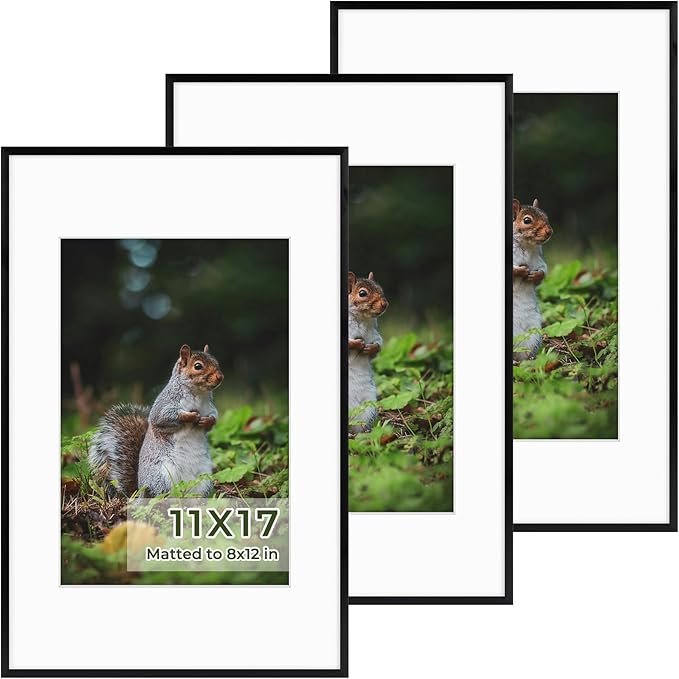 Golden State Art 11x17 Picture Frame 3 Pack - Aluminum Frames with 8x12 Removable Mats & Real Glass, Display 11x17 Posters or 8x12 Photos - Black Gallery Wall Frames for Home Office Decor