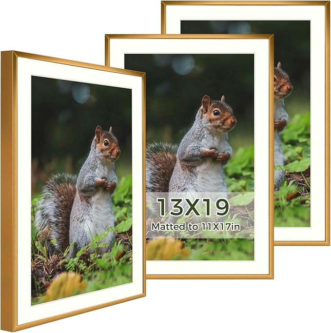 Golden State Art 13x19 Picture Frame 3 Pack - Aluminum Frames with 11x17 Removable Mats & Real Glass, Display 13x19 Posters or 11x17 Photos - Bronze Gallery Wall Frames for Home Office Decor