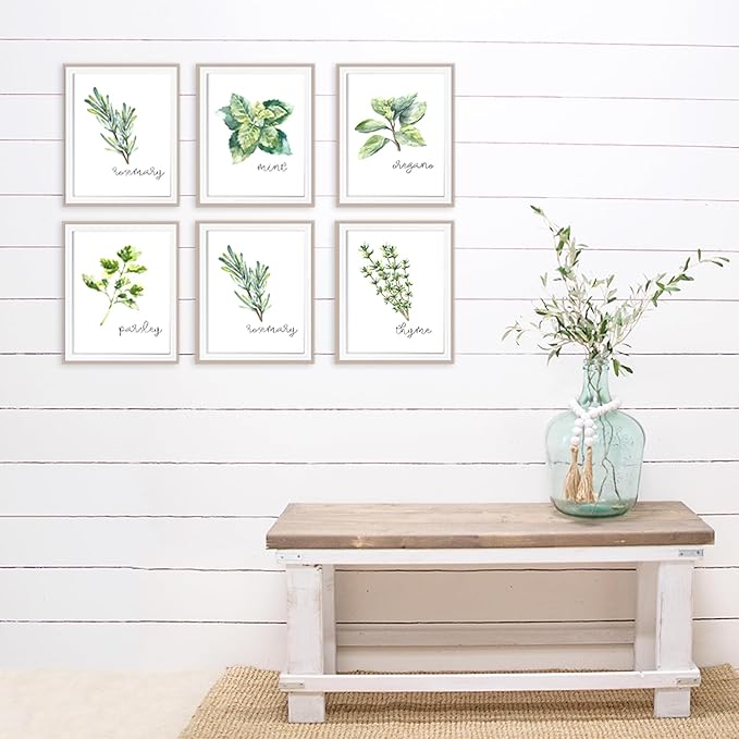 Kitchen Herbs Art Prints - Botanical Prints - (Set of 6) - Unframed - 11x14s | Dining Room Decor - Gifts for Chef or Cook - Restaurant Decor - Rosemary, Thyme, Mint, Parsley, Oregano, and Bay Leaves