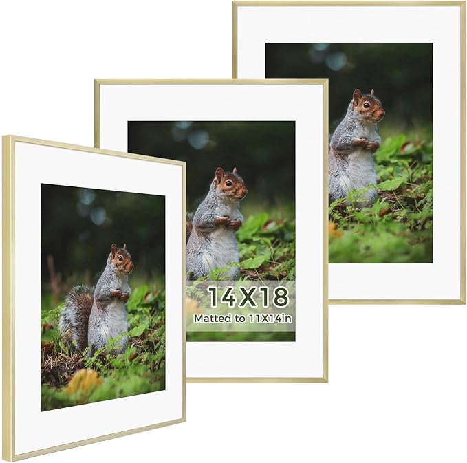 Golden State Art 14x18 Picture Frame 3 Pack - Aluminum Frames with 11x14 Removable Mats & Real Glass, Display 14x18 Posters or 11x14 Photos - Gold Gallery Wall Frames for Home Office Decor