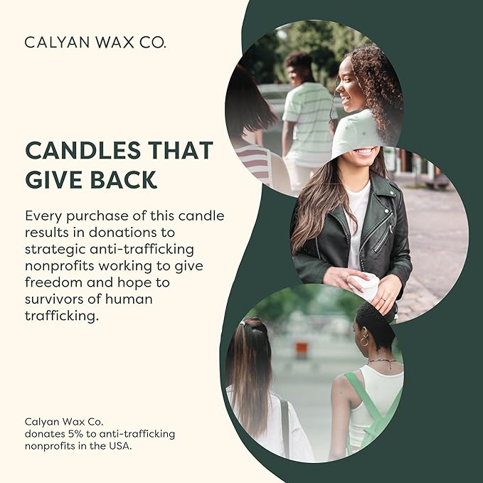 Calyan Wax Co. 3 Wick Candle, Fir + Clove Scented Candle, 43 Hour Burn Time, 3 Wick Soy Candles, Non Toxic & Vegan Soy Wax, Glass Jar Holiday Scented Candles, 14.9oz