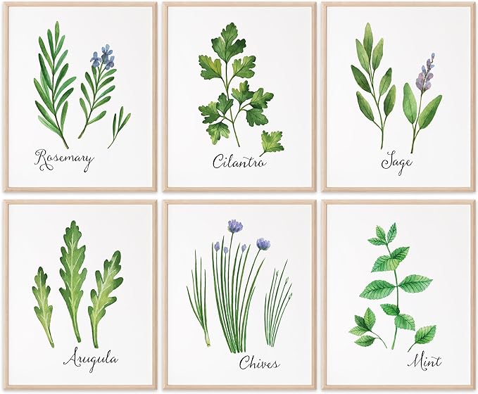 Kitchen Herbs Art Prints (Set of 6) - Unframed - 11x14 | Botanical Prints Wall Art | Kitchen Wall Décor | Kitchen Décor for Adding a Touch of Freshness to Your Kitchen Décor | Botanical Wall Art
