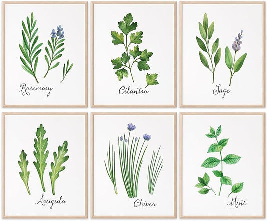 Kitchen Herbs Art Prints (Set of 6) - Unframed - 8x10s | Botanical Prints Wall Art | Kitchen Wall Décor | Kitchen Décor for Adding a Touch of Freshness to Your Kitchen Décor | Botanical Wall Art