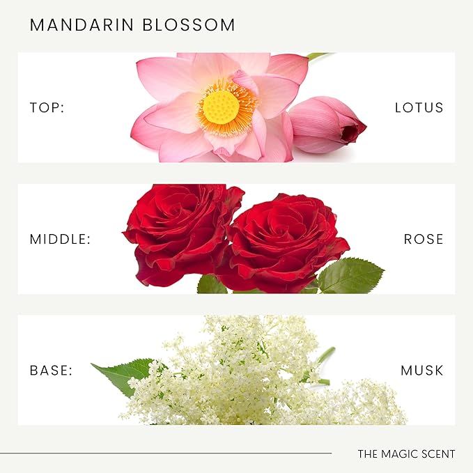 Mandarin Blossom Diffuser Oil - Hotel & Home Luxury Scents Inspired by St. Regis Hotel, Maldives - Diffuser Oil Scents for Home Designed for Use in All Diffusers - 16.9 fl oz, 500 mL