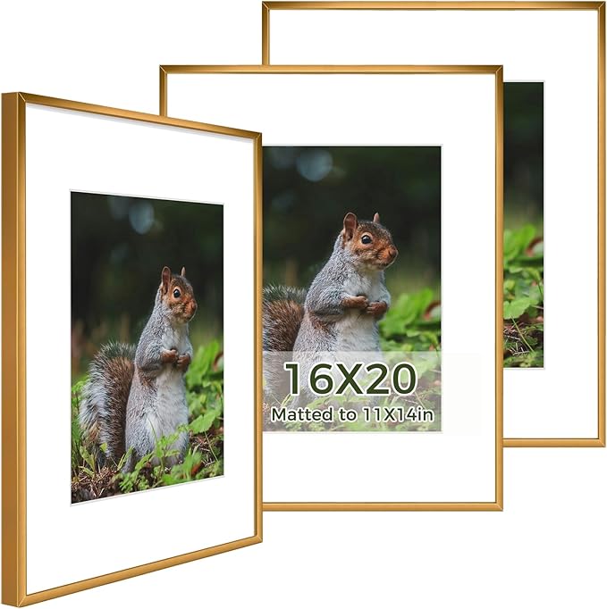 Golden State Art 16x20 Picture Frame 3 Pack - Aluminum Frames with 11x14 Removable Mats & Real Glass, Display 16x20 Posters or 11x14 Photos - Bronze Gallery Wall Frames for Home Office Decor