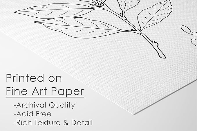 DREAM BIG PRINTABLES Kitchen Herbs B&W Art Prints | Set of 6 | 11x14 (Unframed)