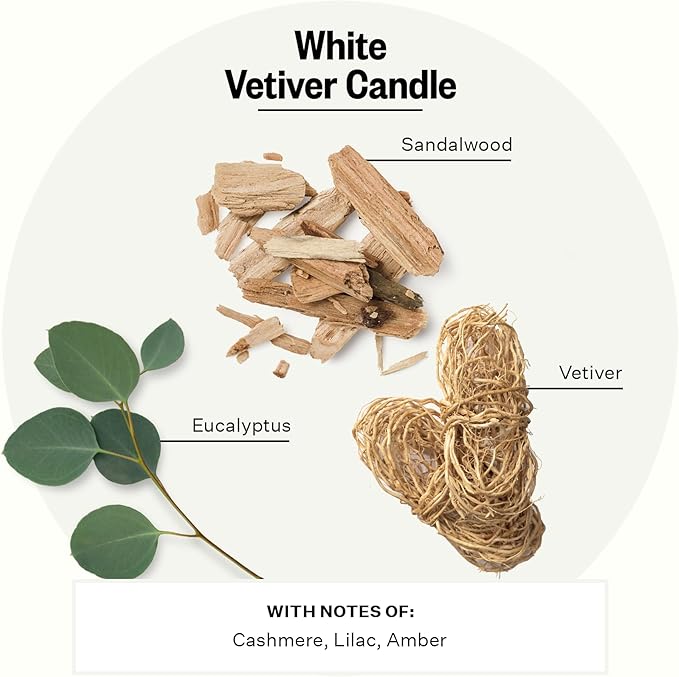 Apotheke Signature Scented Candles for Home, White Vetiver - 10.5 oz - Soy Wax, Non Toxic, Large Jar White - Luxury Candle Gifts for Women & Men - Sandalwood, Eucalyptus, and Vetiver