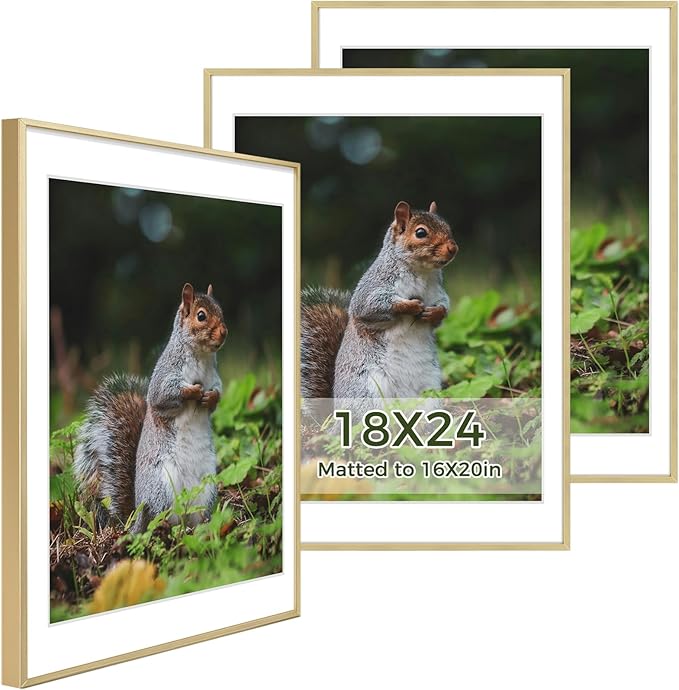 Golden State Art 18x24 Picture Frame 3 Pack - Aluminum Frames with 16x20 Removable Mats & Real Glass, Display 18x24 Posters or 16x20 Photos - Gold Gallery Wall Frames for Home Office Decor