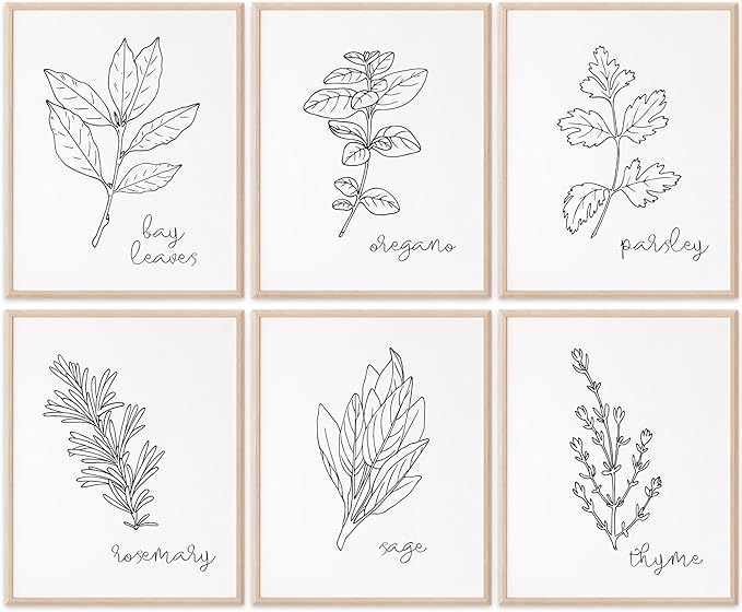Kitchen Herbs B&W Art Prints | Set of 6 | 8x10 (Unframed)