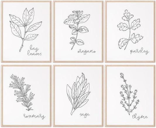 Kitchen Herbs B&W Art Prints | Set of 6 | 8x10 (Unframed)
