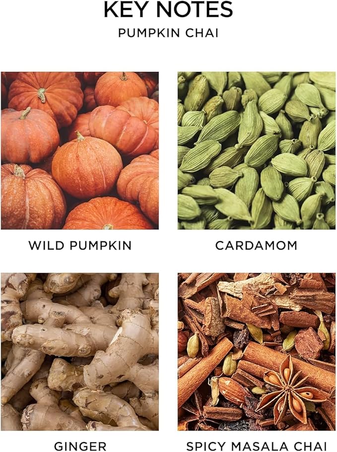 NEST New York Reed Diffuser, Pumpkin Chai - 5.9 fl oz - Fragrance for Up to 90 Days - Reusable, Refillable Glass Holder - Includes 8 All-Natural Reed Sticks - Flame Free