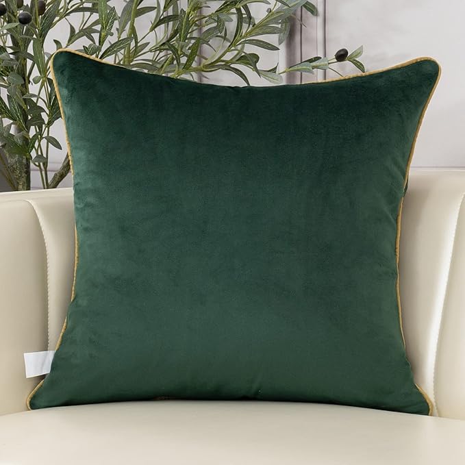Aeckself European Luxury Velvet Throw Pillow Cover 20 x 20 Inch, Embroidery Floral Pillow Cover Home Decor Pillowcase for Couch Bedroom Living Room, Dark Emerald Green and Gold