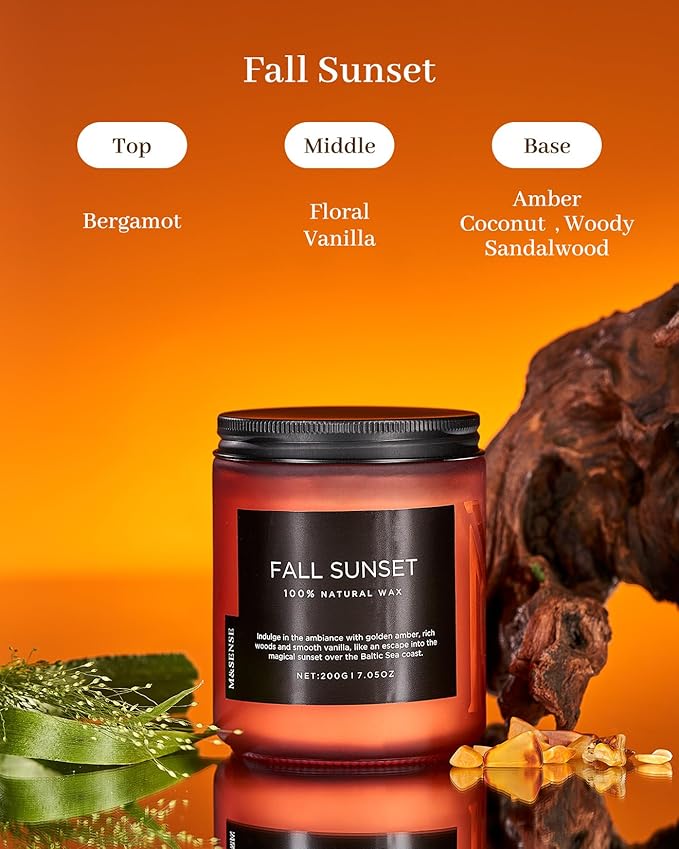 M&SENSE Baltic Amber Scented Organic Soy Wax Clean Non Toxic Candle, Cotton Wick 7.05oz Up to 50 Hours Burn Time, Housewarming Candle for Home Scented