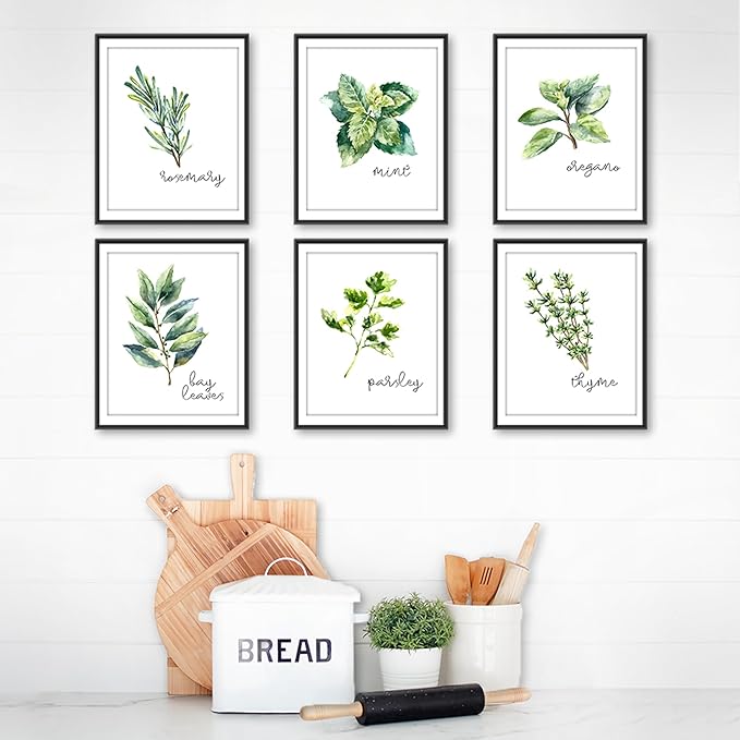 Kitchen Herbs Art Prints - Botanical Prints - (Set of 6) - Unframed - 8x10s | Dining Room Decor - Gifts for Chef or Cook - Restaurant Decor - Rosemary, Thyme, Mint, Parsley, Oregano, and Bay Leaves