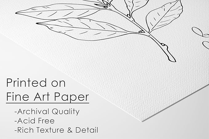 Kitchen Herbs B&W Art Prints | Set of 6 | 8x10 (Unframed)