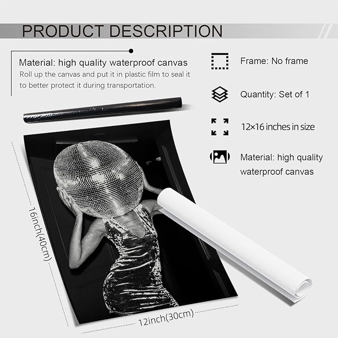 Sufeasdf Vintage Funky Y2k Hot Girl Poster Black and White Disco Ball Canvas Wall Art Trendy Preppy Bar Cart Decor for Living Room Dorm 12x16 inch Unframed