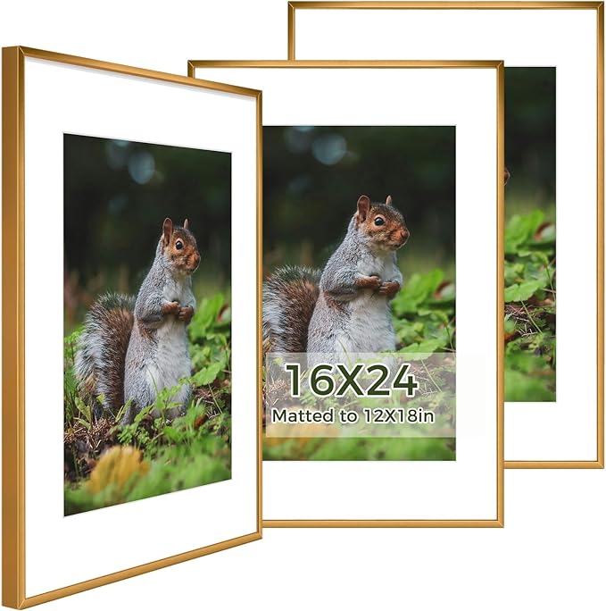 Golden State Art 16x24 Picture Frame 3 Pack - Aluminum Frames with 12x18 Removable Mats & Real Glass, Display 16x24 Posters or 12x18 Photos - Bronze Gallery Wall Frames for Home Office Decor