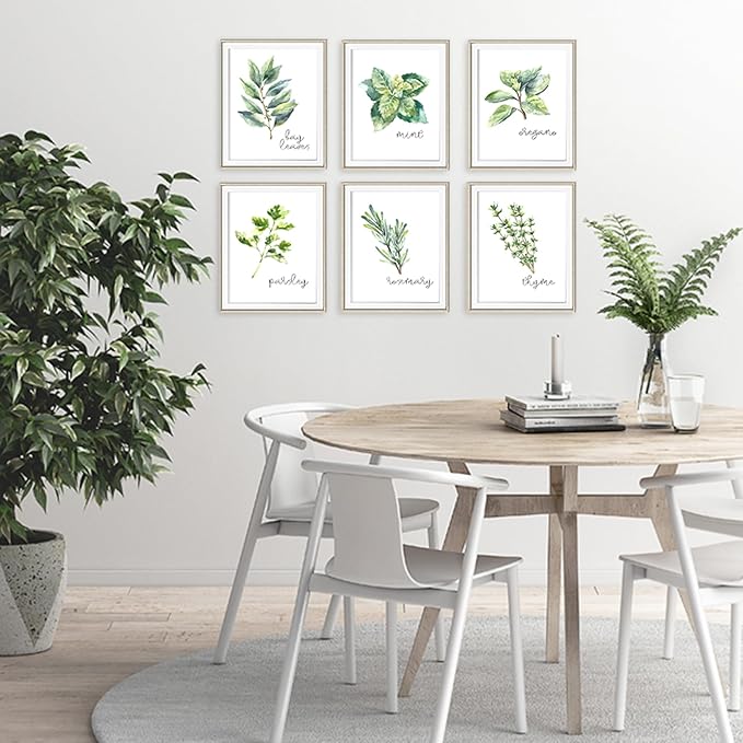 Kitchen Herbs Art Prints - Botanical Prints - (Set of 6) - Unframed - 8x10s | Dining Room Decor - Gifts for Chef or Cook - Restaurant Decor - Rosemary, Thyme, Mint, Parsley, Oregano, and Bay Leaves