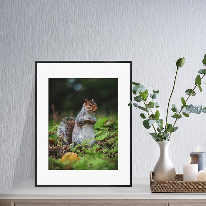 Golden State Art 14x18 Picture Frame 3 Pack - Aluminum Frames with 11x14 Removable Mats & Real Glass, Display 14x18 Posters or 11x14 Photos - Black Gallery Wall Frames for Home Office Decor