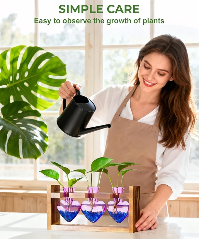 Nacome Plant Terrarium for Office Decor: Birthday Gifts for Plant Lovers Women Mom Wife - Wooden Stand Tabletop Planter 3 Bulb Glass Vase Heart Shaped for Hydroponics Indoor Home(Purple)