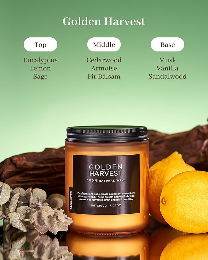 M&SENSE Golden Eucalyptus & Sage Highly Scented Candle, All Natural Soy Wax 2 Cotton Wick 7.05oz 50 Hours Slow Burning Candle Gifts for Birthday Holiday, Decorative for Home