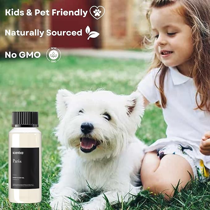 Hotel Frgarance Oil Inspired by The Hotel Costes - 120 mL 4.06 fl oz - Refill Diffuser Oil Blend Rose, Clove & Sandalwood Notes for Aromatherapy Diffusers - Paris