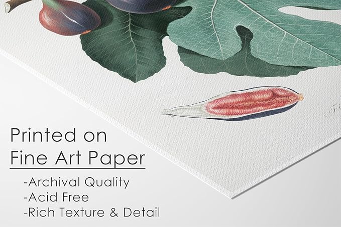 Vintage Fruit Art Prints - Kitchen Botanical Prints - (Set of 6) - Unframed - 11x14 | Wall Décor Enhancing Your Culinary Space with Classic Charm - Ideal for Kitchen, Dining Area, or Farmhouse Décor