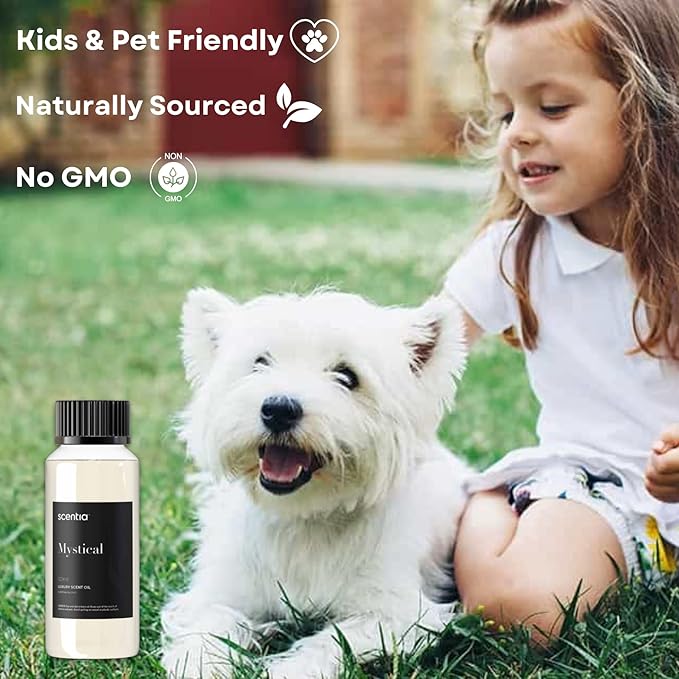 Hotel Diffuser Oil Inspired by The Wynn, Las Vegas Hotel - 120 mL 4.06 fl oz - Essential Oil Blend Melon, Raspberry, Lily, Jasmine & Lemon for Aromatherapy Diffusers - Mystical