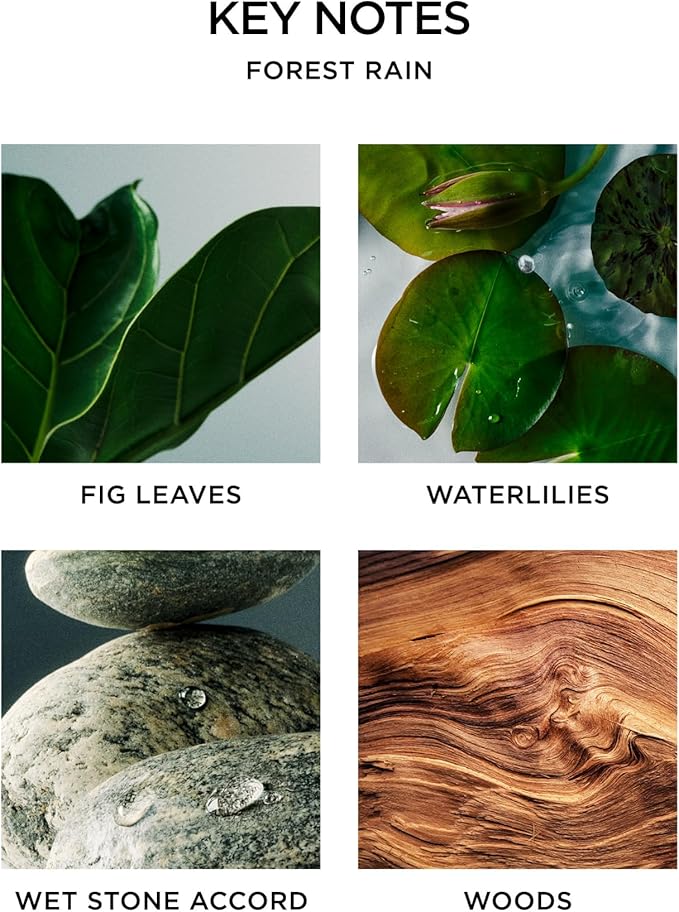 NEST New York Scented Classic Candle, Forest Rain - 8.1 oz - Up to 60-Hour Burn Time - Reusable Glass Vessel