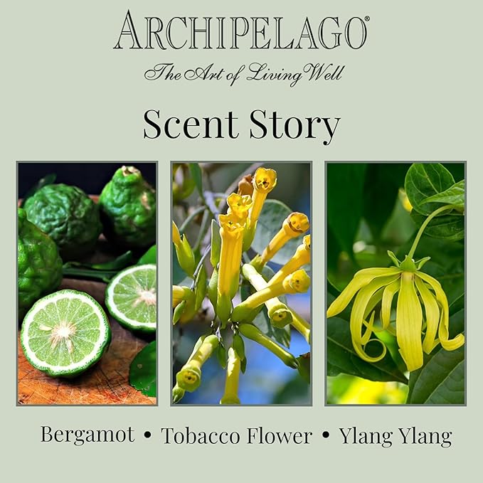 Archipelago Botanicals Havana Glass Jar Candle, Bergamot, Tobacco Flower and Ylang Ylang Scent, Lead-Free Candle Wicks, Burns Approx. 60 Hours (8.6 oz)