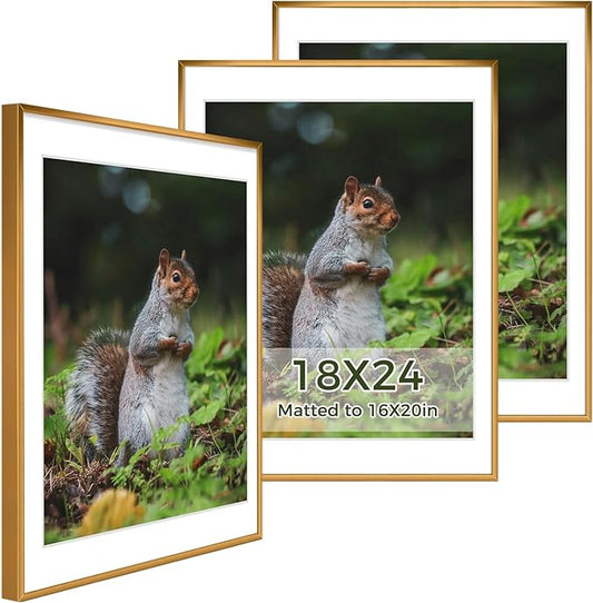 Golden State Art 18x24 Picture Frame 3 Pack - Aluminum Frames with 16x20 Removable Mats & Real Glass, Display 18x24 Posters or 16x20 Photos - Bronze Gallery Wall Frames for Home Office Decor