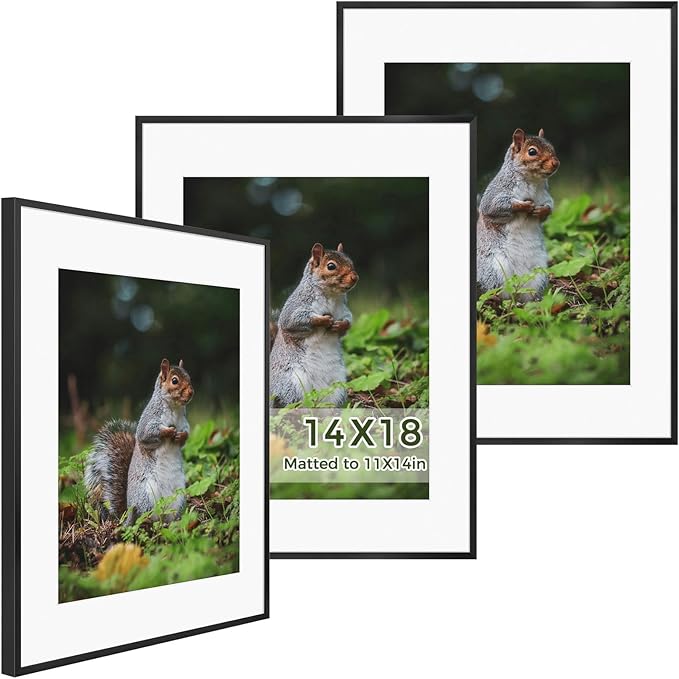 Golden State Art 14x18 Picture Frame 3 Pack - Aluminum Frames with 11x14 Removable Mats & Real Glass, Display 14x18 Posters or 11x14 Photos - Black Gallery Wall Frames for Home Office Decor