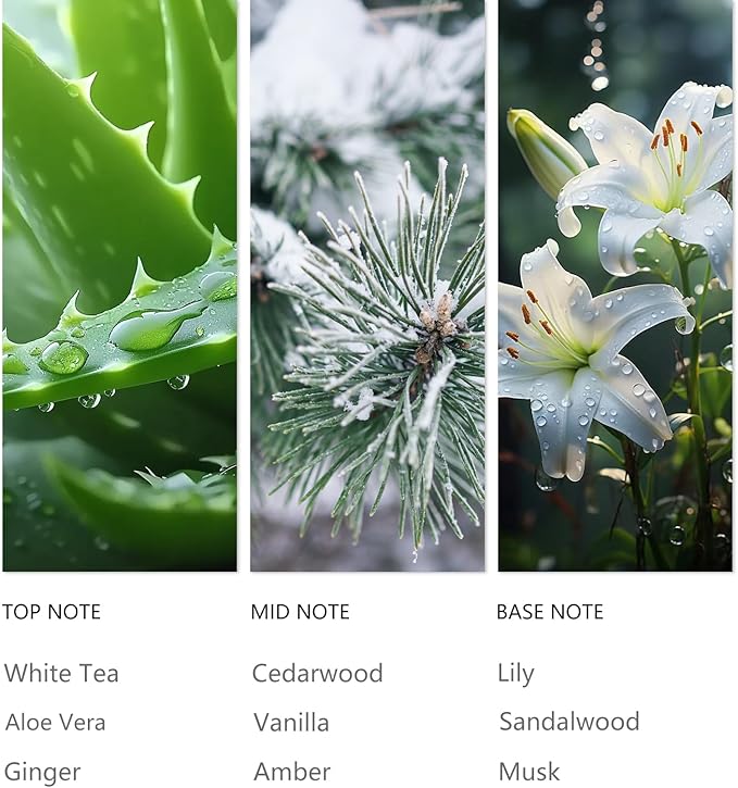 Waterless Diffuser Oil Olene, Essential Scent Oil Usage Cold Air Waterless Diffuser, Luxury Scents Oils Fragrance Bottle120 ML Home Natural Flavour