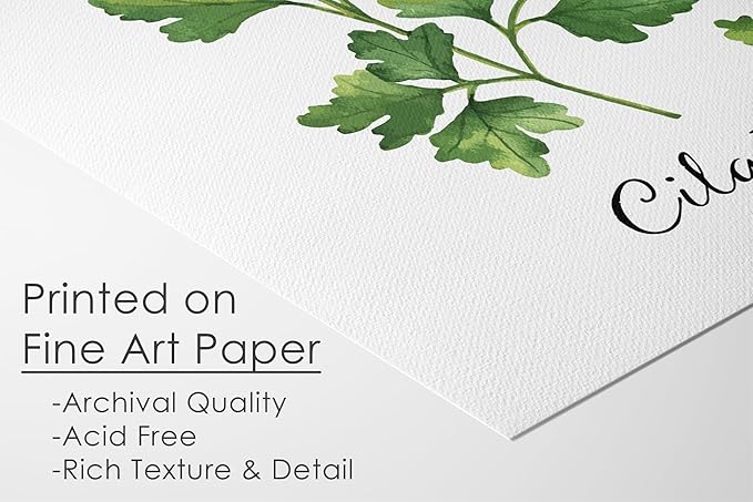 Kitchen Wall Decor Art Prints - Botanical Prints - (Set of 6) - Unframed - 8x10s | Flower Wall Décor | Kitchen Wall Décor | Vintage Wall Décor | Botanical Wall Art | Aesthetic Wall Décor