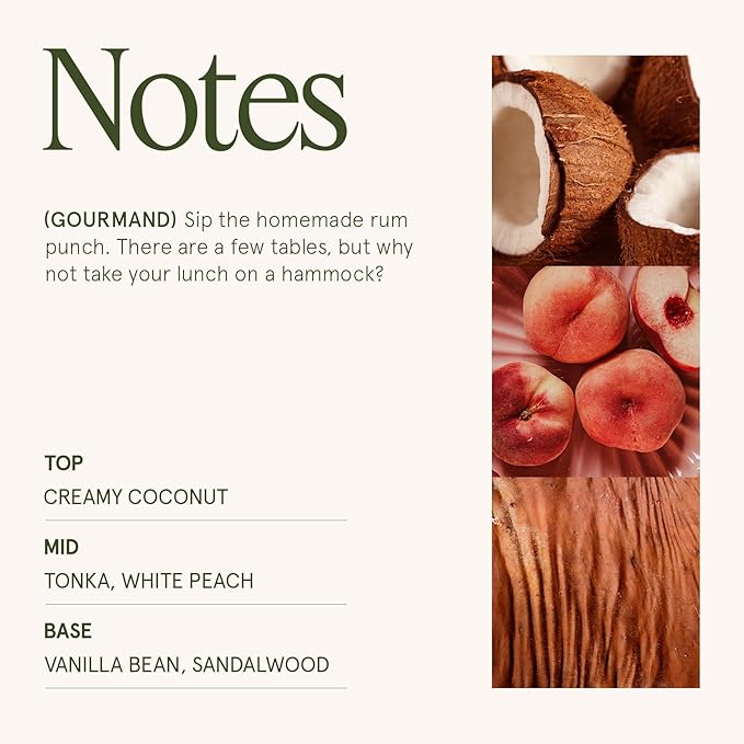 LA JOLIE MUSE Vanilla Coconut Candle, 19 oz Wood Wicked Candles for Home Scented, Natural Soy Wax, Large Glass Jar Candle, 90 Hours Long Burning, Island Coconut