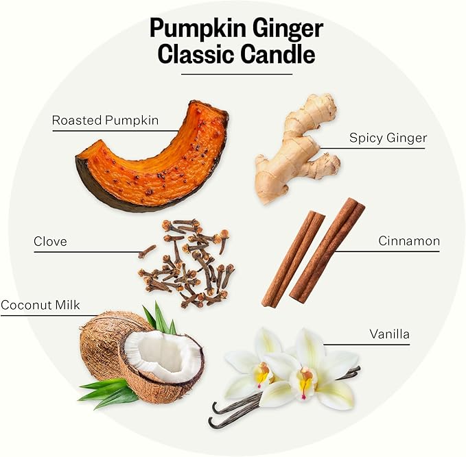 Apotheke 3-Wick Scented Candles for Home, Pumpkin Ginger - 10.5 oz Seasonal Soy Wax Jar Candle - Long-Lasting Fall Scented Fragrance with Perfume-Grade Fragrance Oils