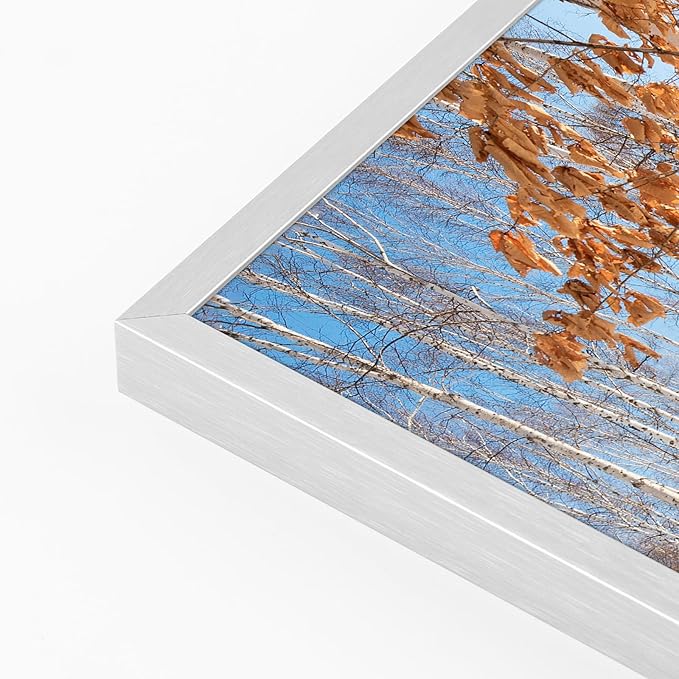 Golden State Art, 13x19 Aluminum Picture Frame, Silver Metal Thin Poster Frames for 13 x 19 inch Photo, Acrylic Front, Wall Hook for Horizontal or Vertical Display, 3 Pack