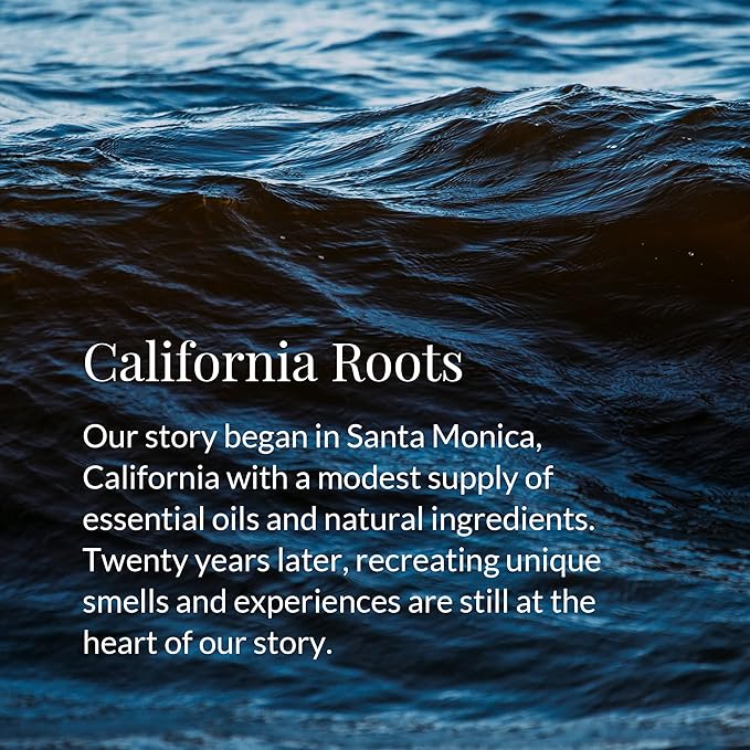 Archipelago Botanicals Stonehenge Glass Jar Candle, Cedarwood, Citrus Bergamot and Amber Scent, Lead-Free Candle Wicks, Burns Approx. 60 Hours (8.6 oz)