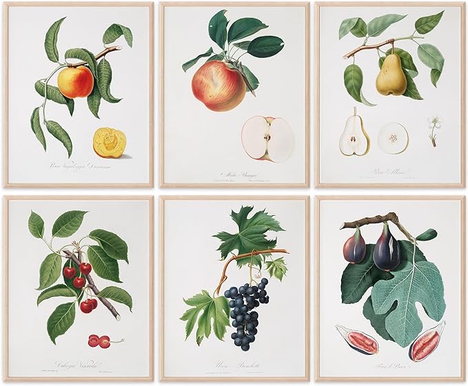 Vintage Fruit Art Prints - Kitchen Botanical Prints - (Set of 6) - Unframed - 8x10s | Wall Décor Enhancing Your Culinary Space with Classic Charm - Ideal for Kitchen, Dining Area, or Farmhouse Décor