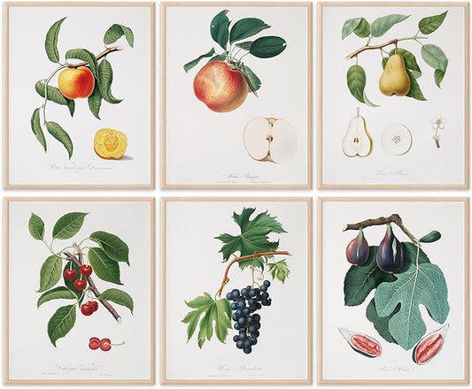 Vintage Fruit Art Prints - Kitchen Botanical Prints - (Set of 6) - Unframed - 8x10s | Wall Décor Enhancing Your Culinary Space with Classic Charm - Ideal for Kitchen, Dining Area, or Farmhouse Décor