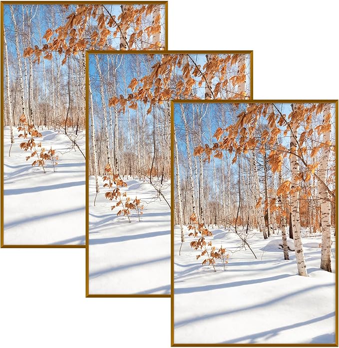 Golden State Art, 20x30 Aluminum Picture Frame, Bronze Metal Thin Poster Frames for 20 x 30 inch Photo, Acrylic Front, Wall Hook for Horizontal or Vertical Display, 3 Pack